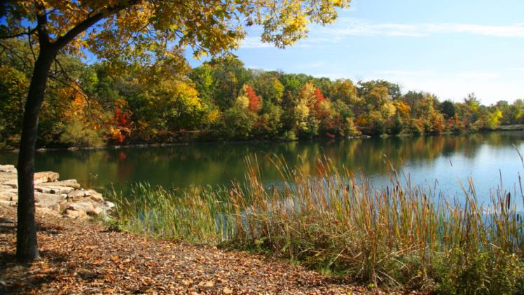 The Nature of Legal Scholarship